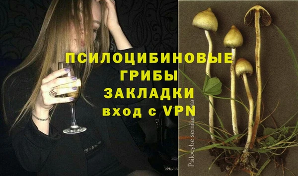 первитин Краснослободск