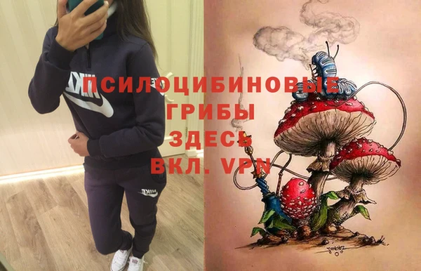 эйфоретик Краснотурьинск