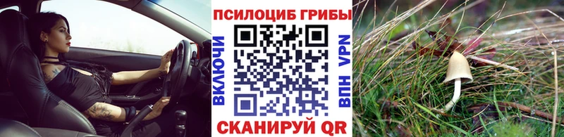 дарнет шоп  Луза  кракен   Галлюциногенные грибы прущие грибы 